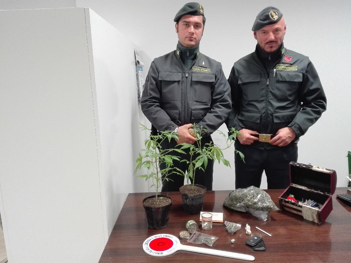 A Macerata sequestro di marijuana, semi e piante di canapa indiana