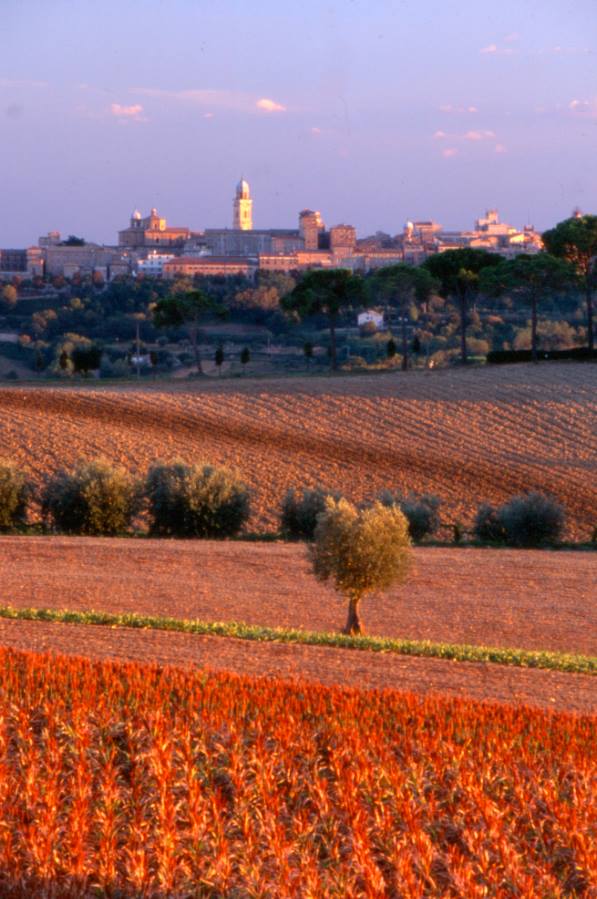 In provincia di Macerata buona qualità della vita anche per Italia Oggi