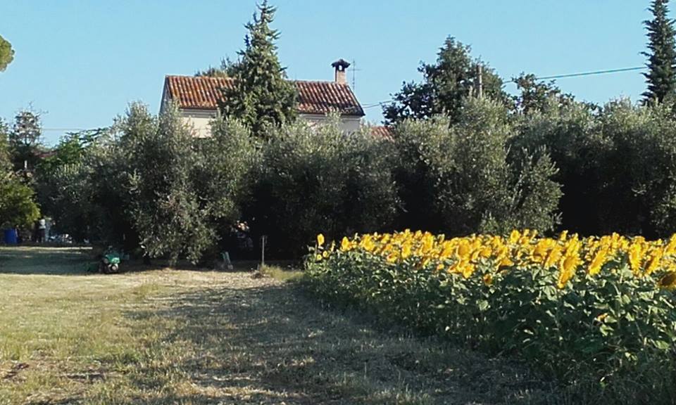 “Orto incontro” all’azienda agricola Stachys di Recanati