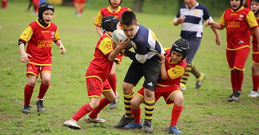 Banca Macerata Rugby, campus gratuito per ragazzi