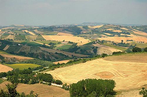 Regione, l’agricoltura sociale a sostegno dei territori colpiti dal sisma