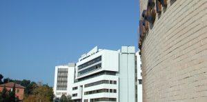 regione marche