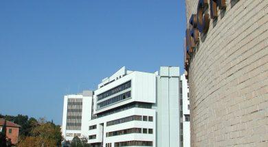 regione marche