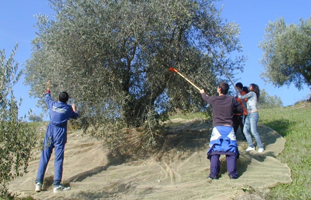 Macerata, porte aperte all’Istituto Agrario Garibaldi