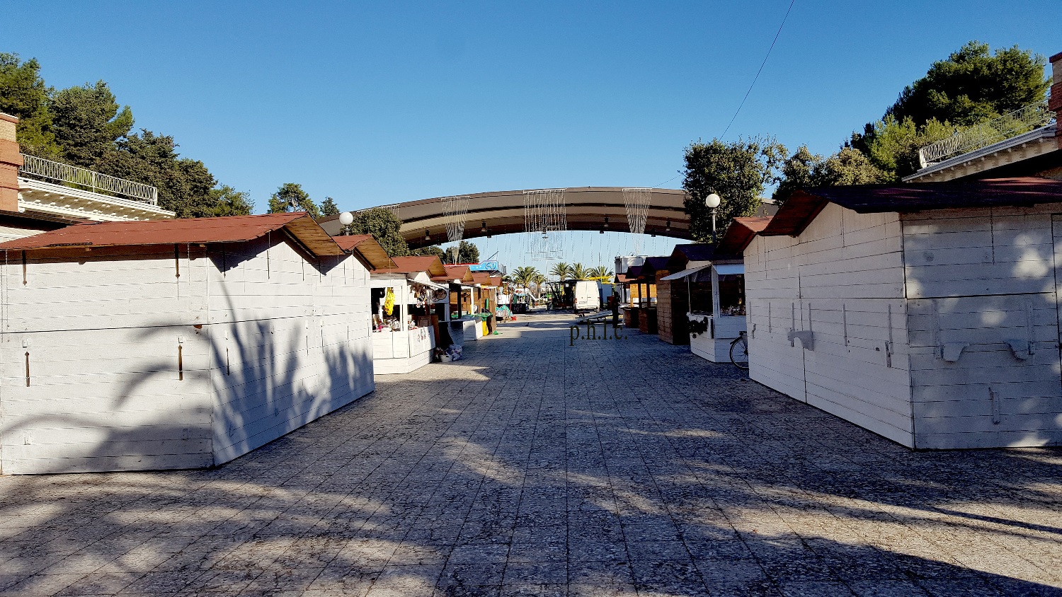 Civitanova Marche, Festa dell’Immacolata con luminarie ed eventi