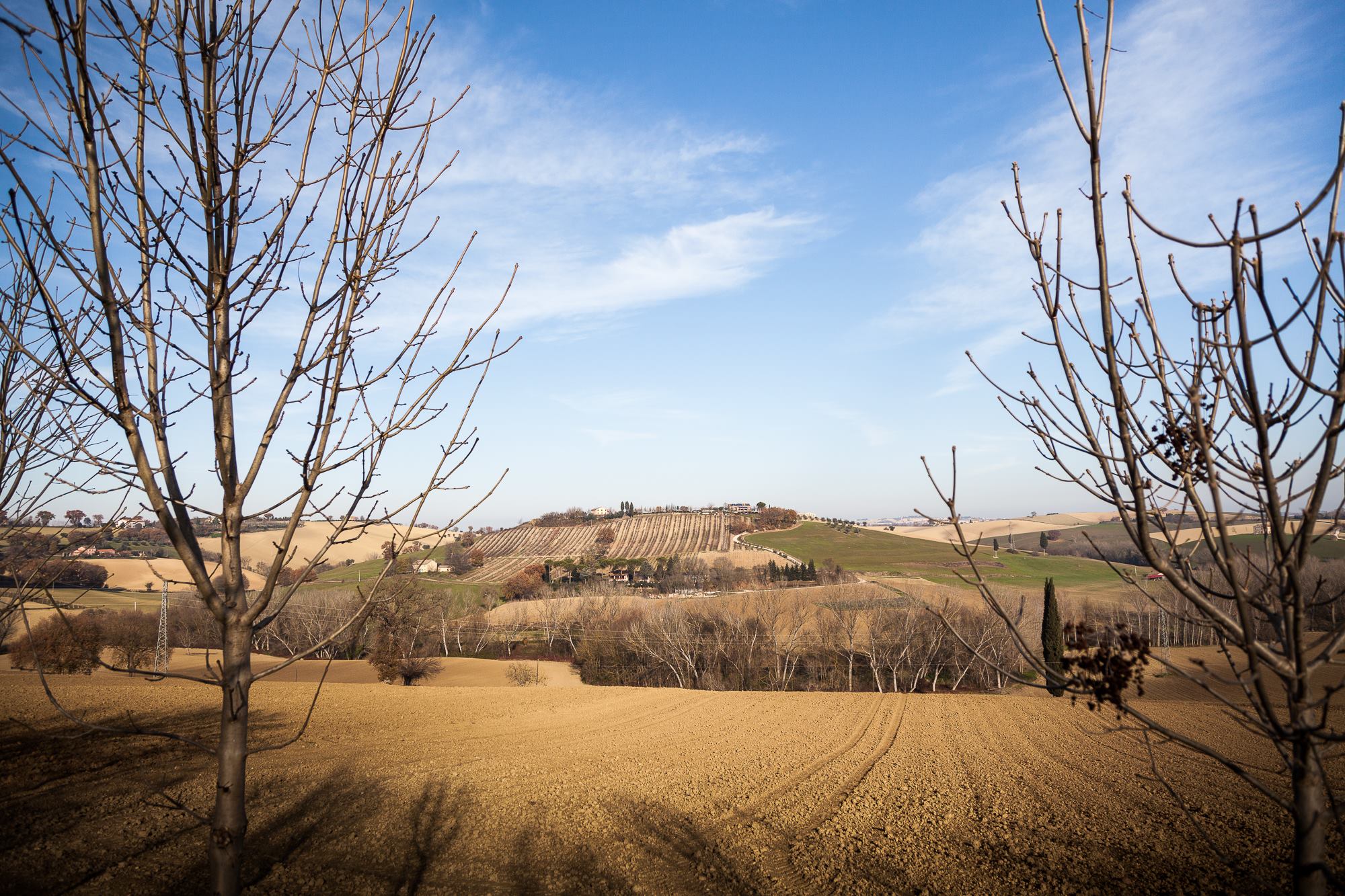 Convegno a Corridonia, le opportunità dell’agricoltura sociale