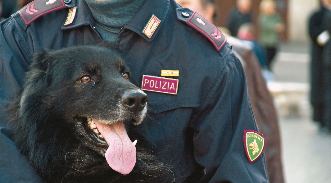 Macerata, Polizia blocca spacciatore nel parco