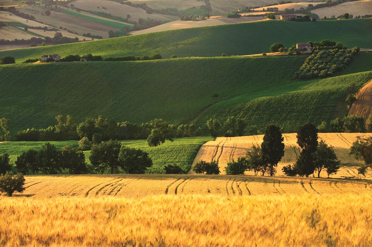 Spighe Verdi 2018, Marche regione più “green” d’Italia