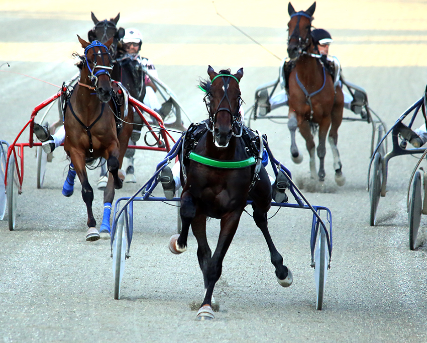 Ippodromo Montegiorgio, semifinali del Campionato Guidatori