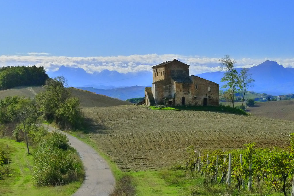 Identità contadine, a Macerata incontri sul mondo agricolo