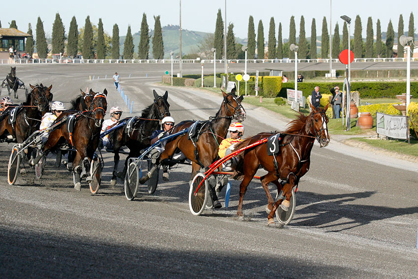 Ippodromo San Paolo, prime corse 2019 dedicate ai fondatori