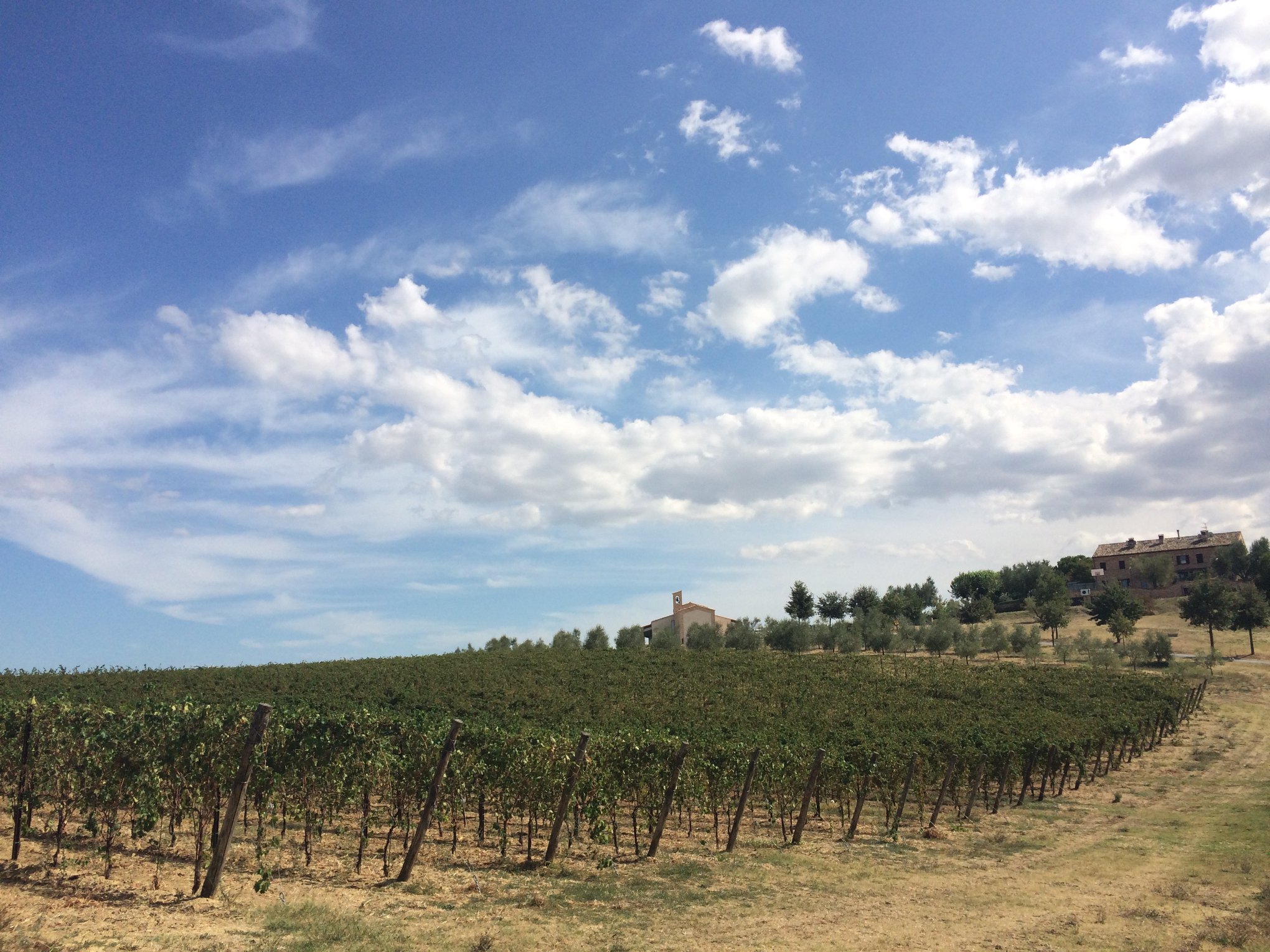 Corridonia, Primo maggio al Villaggio San Michele Arcangelo