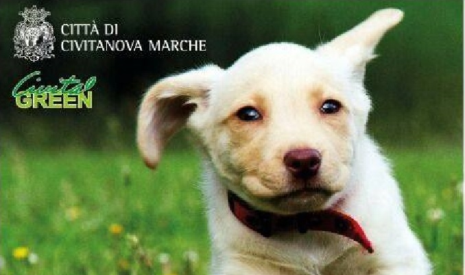 Civitanova Marche, nuova area per cani a San Marone