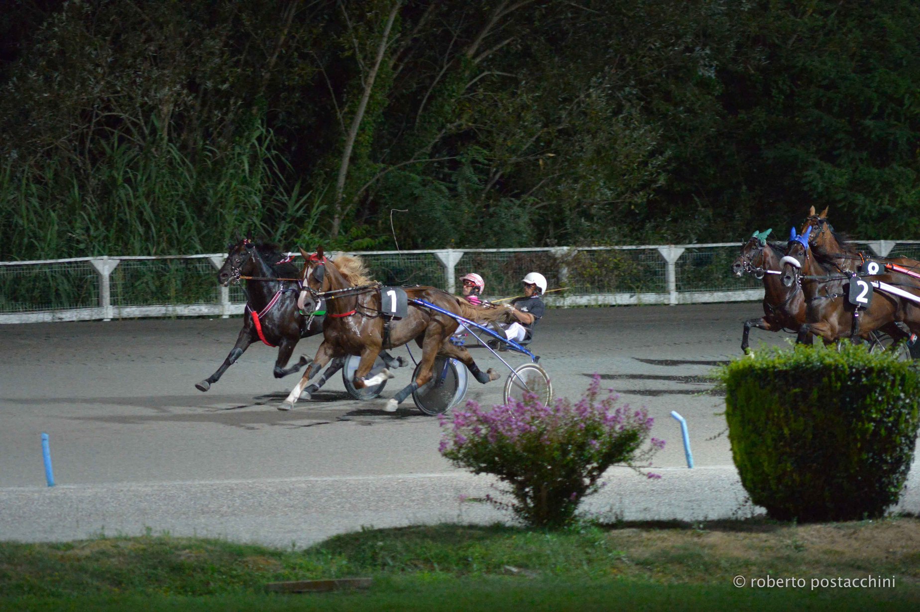 Campionato Italiano Guidatori Trotto, finale al San Paolo