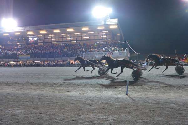 Ippodromo San Paolo di Montegiorgio, le corse del weekend