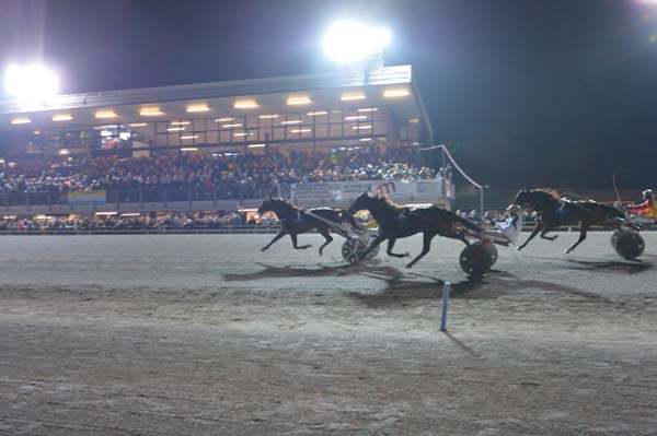 Ippodromo San Paolo di Montegiorgio, le corse del weekend