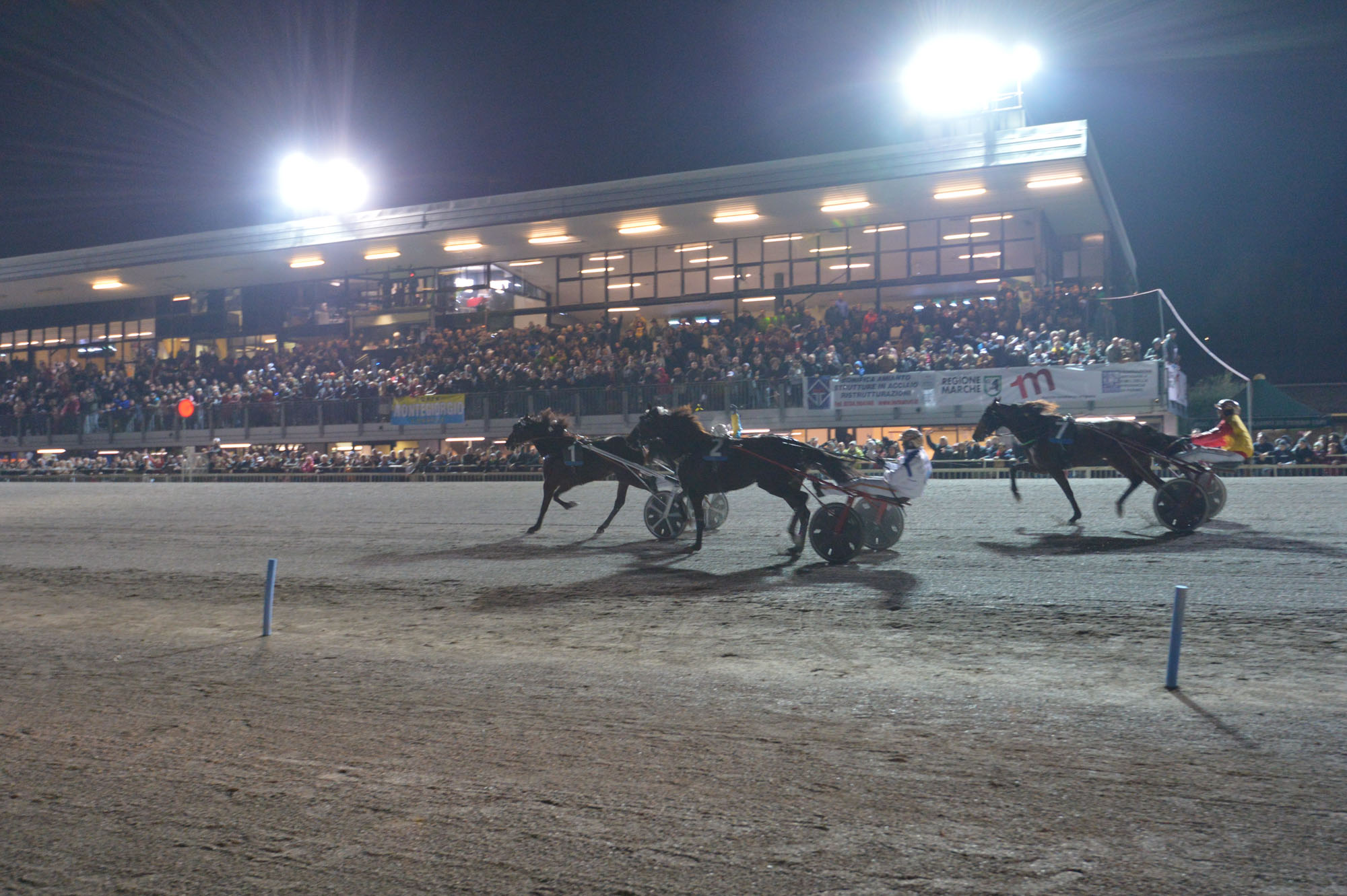 Ippodromo San Paolo, corse dedicate al mondiale 1982