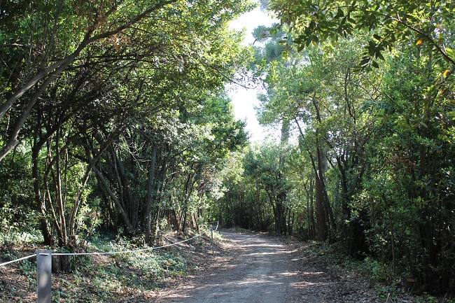 Macerata, Trekking Urbano nei parchi Villa Lauri e Fontescodella