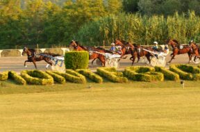 palio dei comuni