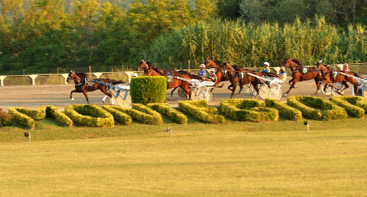 Palio dei Comuni, Gran Premio all’Ippodromo San Paolo