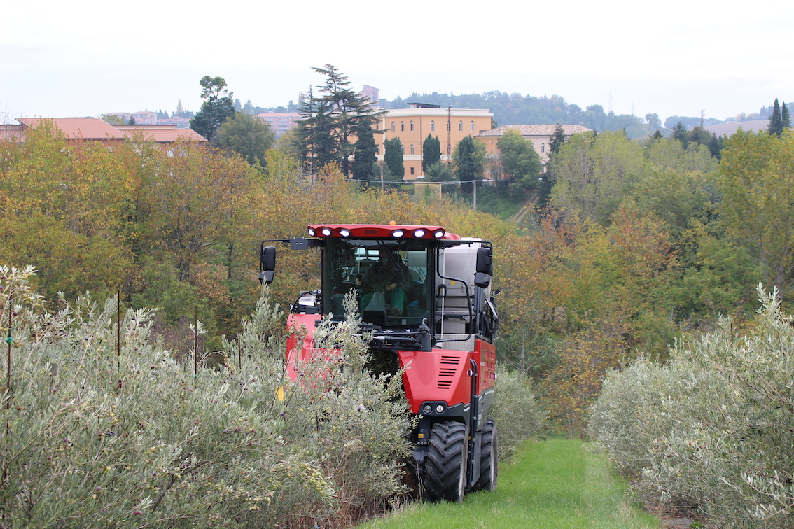 Istituto Agrario di Macerata, raccolta innovativa delle olive