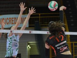 cbf balducci