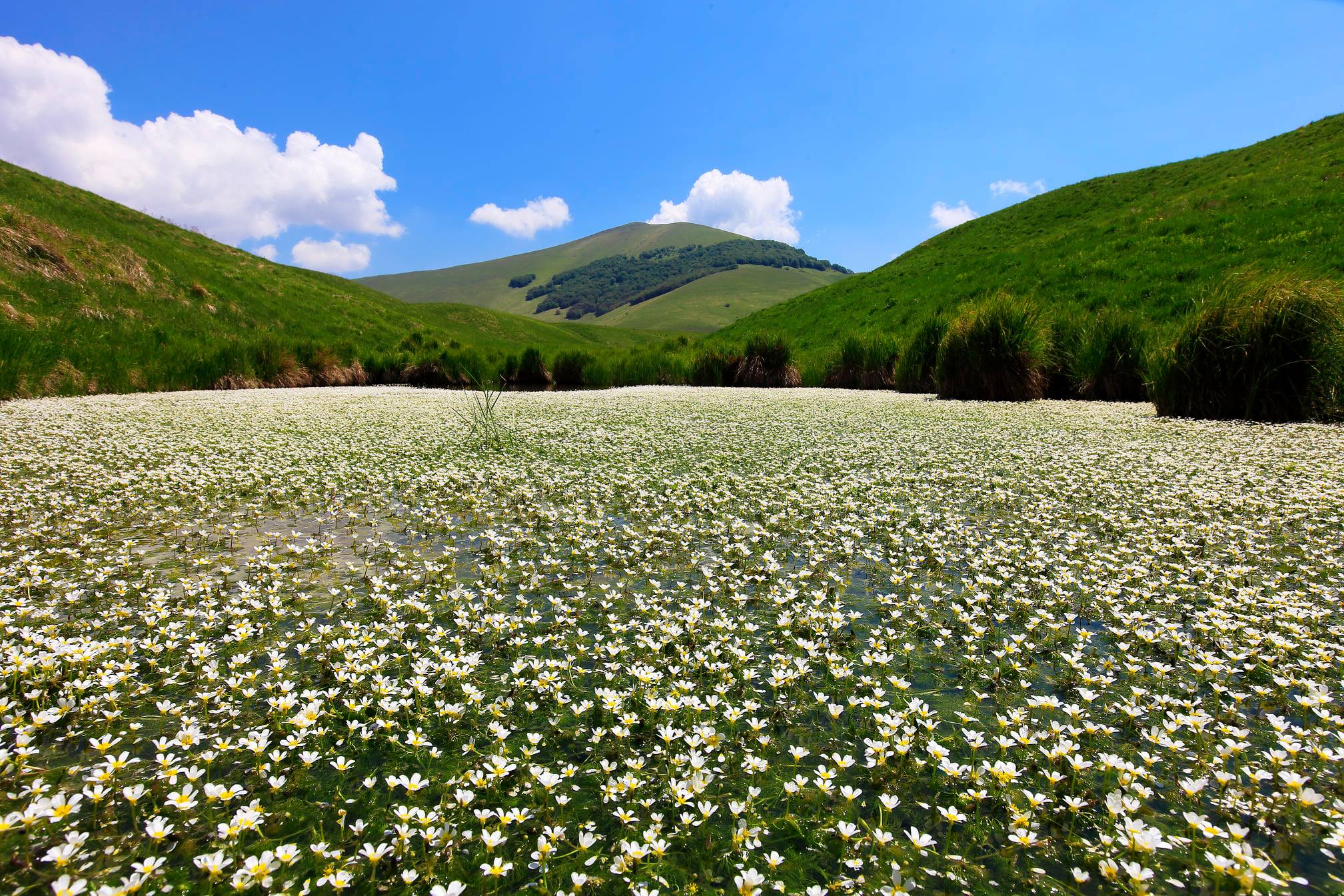 Settimana del Paesaggio, partecipano due Ecomusei maceratesi