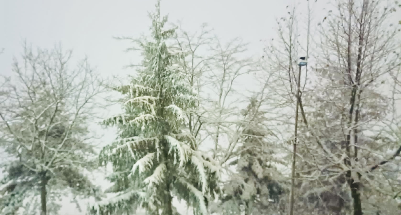 Scuole chiuse per neve in molti Comuni del maceratese