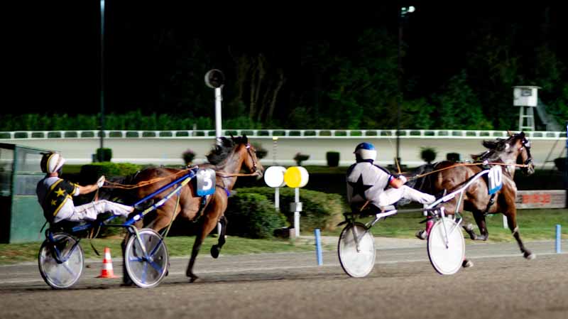 Ippodromo San Paolo di Montegiorgio, al trotto con Vasco Rossi