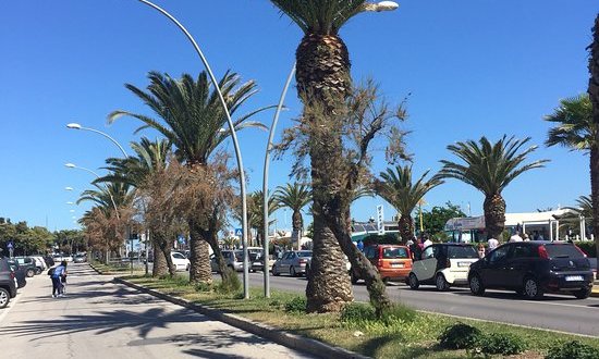 Civitanova Marche, la Fiera del Mare con 130 bancarelle