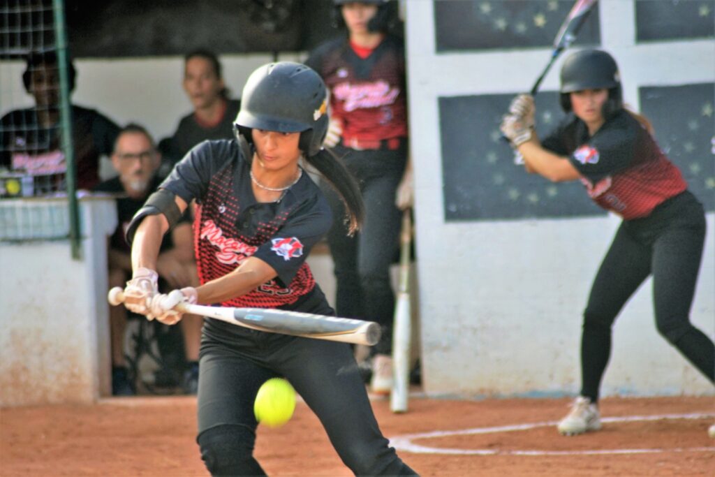 macerata softball