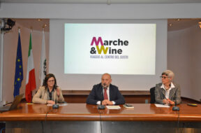 Regione Marche