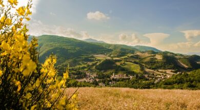 pieve torina