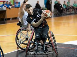 Basket in carrozzina