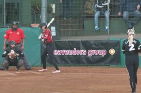 Macerata Softball