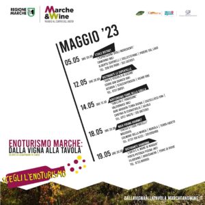 Wine Tour delle Marche