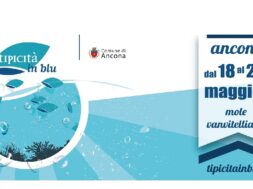 Tipicità in blu