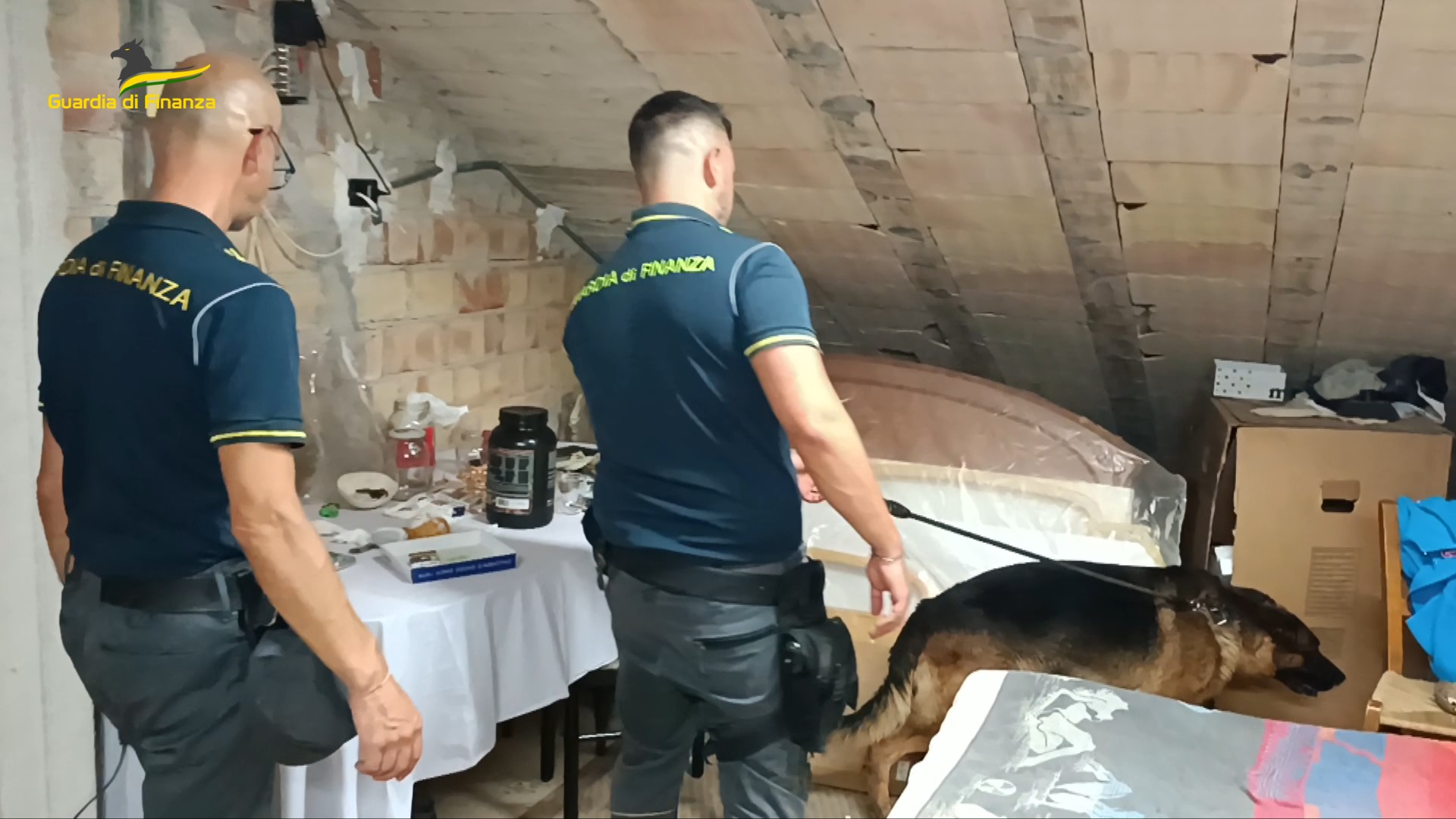 Civitanova Marche, Finanza in azione con cane antidroga