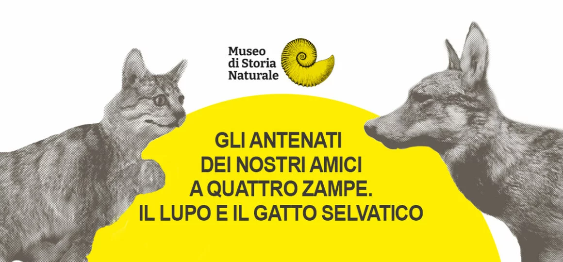 Macerata, conferenza di Carlo Vecchioli al Museo di Storia Naturale