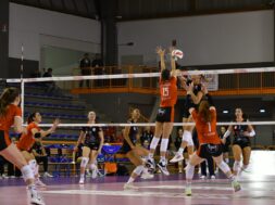 cbf balducci