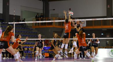 cbf balducci