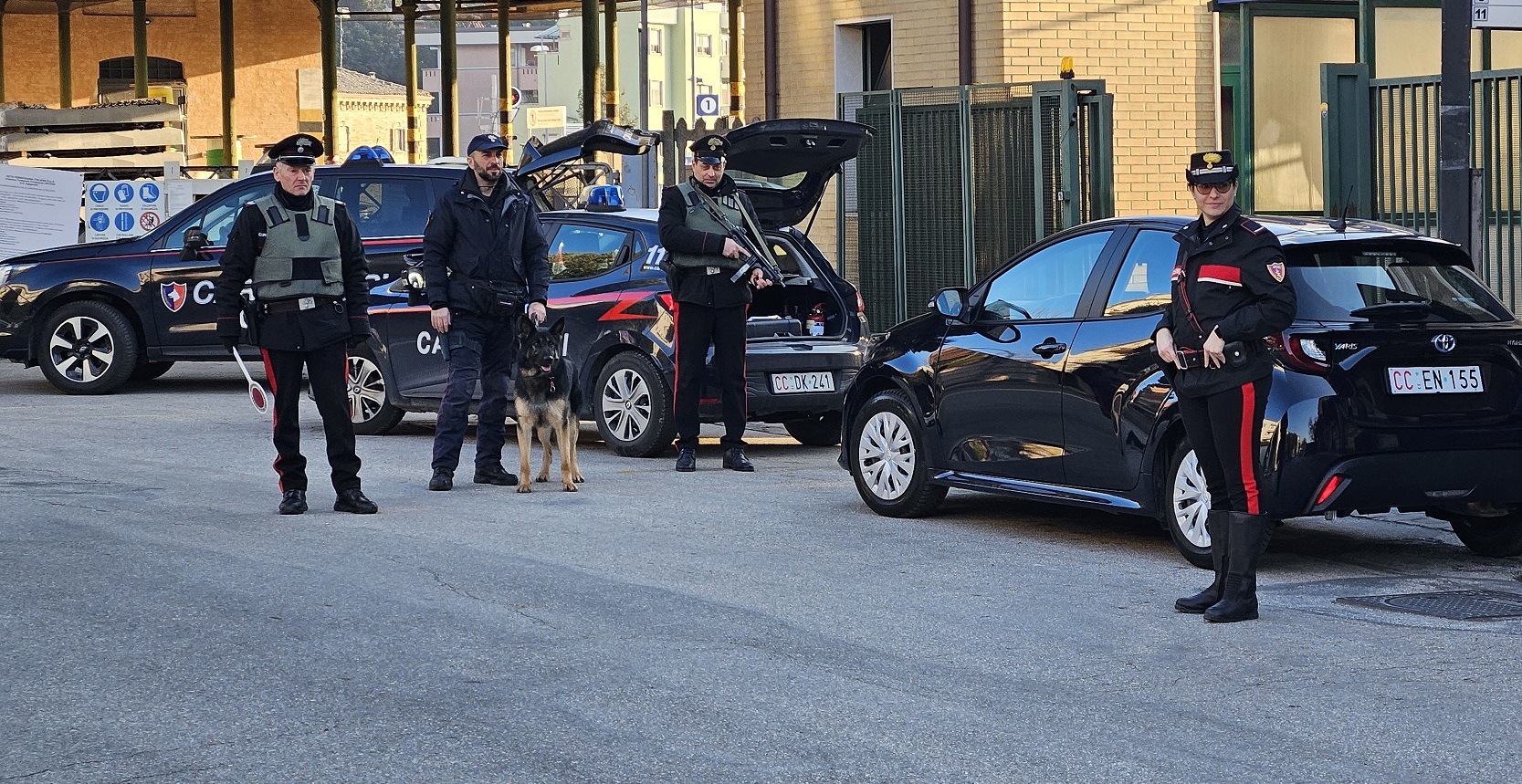 Carabinieri, in provincia di Macerata controlli e sanzioni