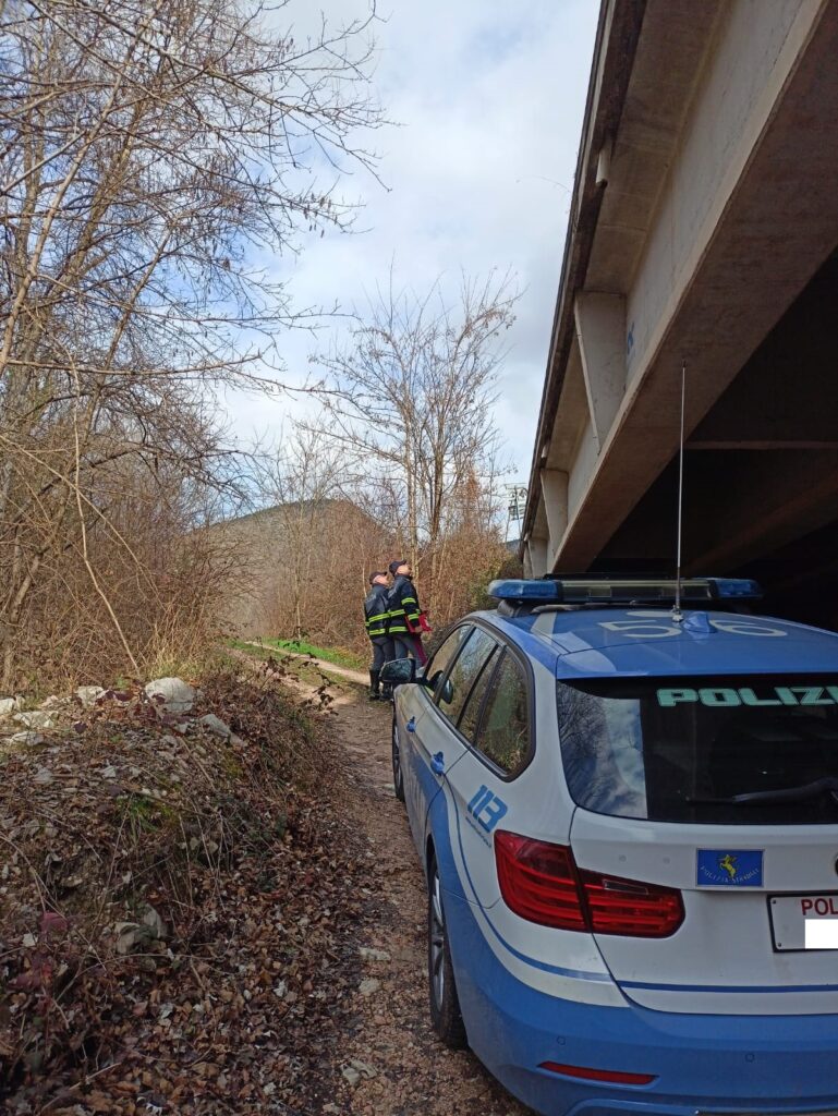 Polizia Stradale