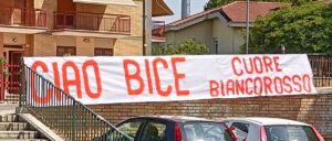 Bice
