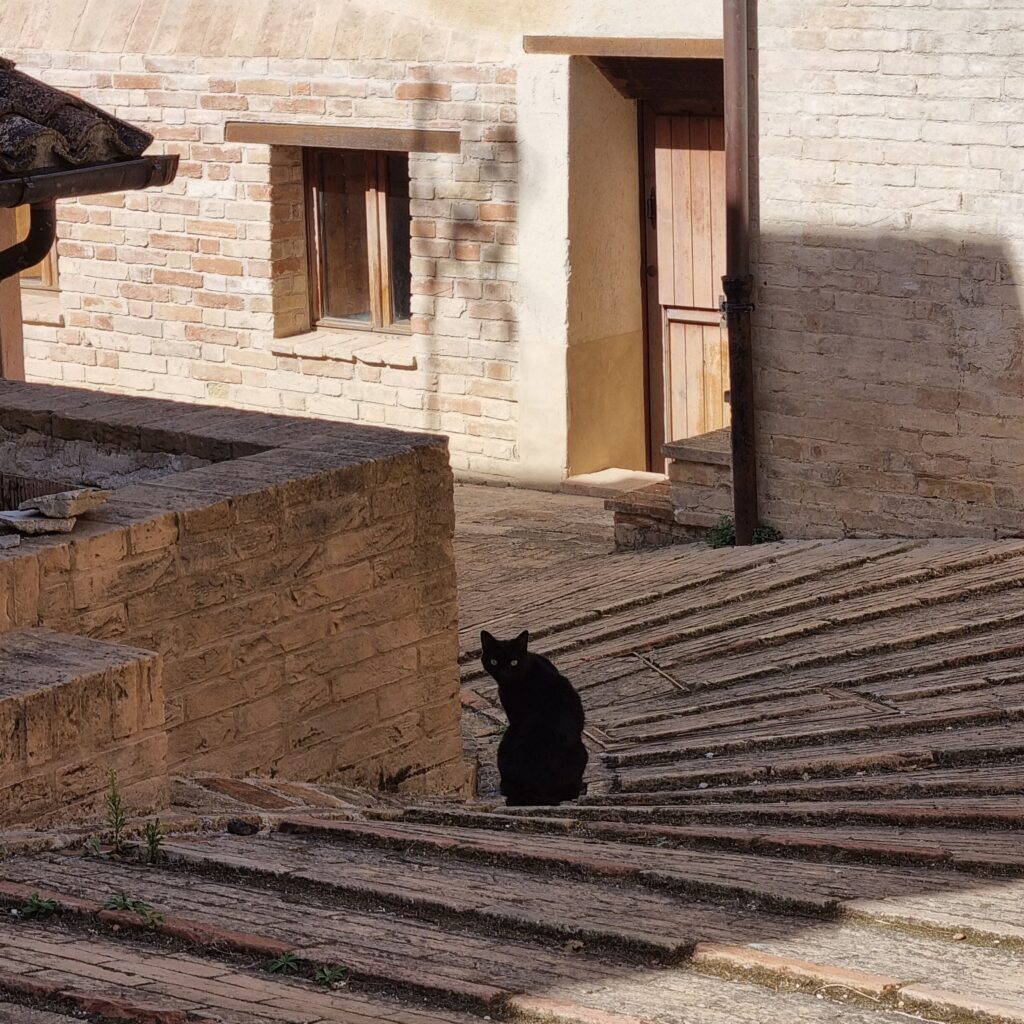 Macerata-Ecomuseo