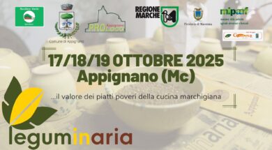 Leguminaria
