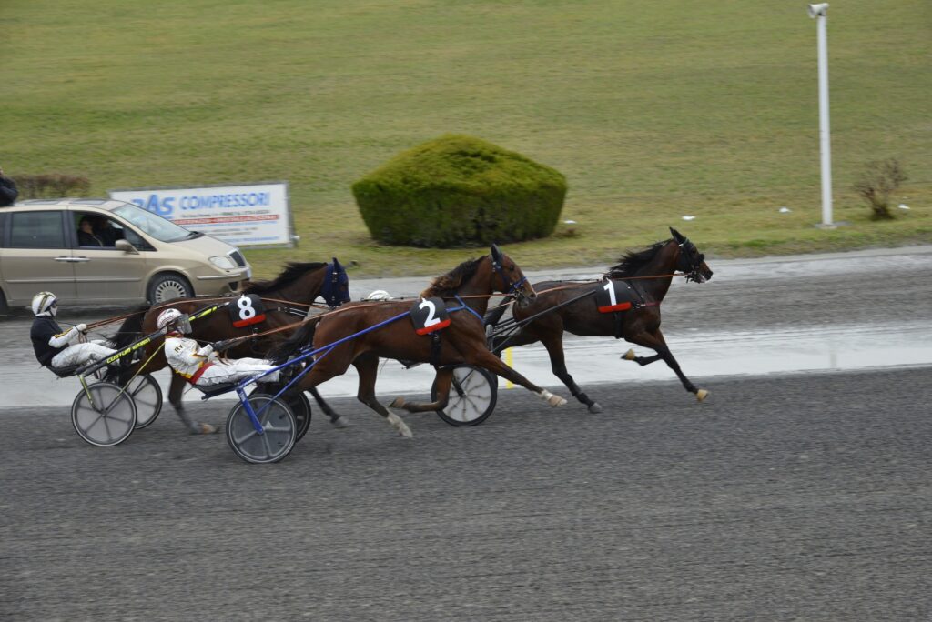 Ippodromo San Paolo-Palio Comuni