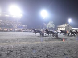 Ippodromo San Paolo-Palio Comuni