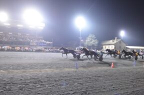 Ippodromo San Paolo-Palio Comuni