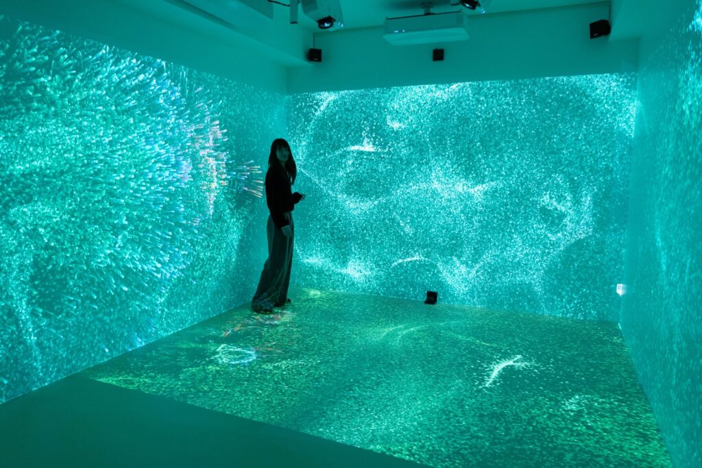 Università di Macerata